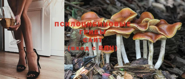 гашишное масло Богородск